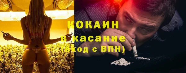 твердый Каменка