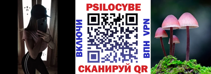 гидра маркетплейс  Каменка  Псилоцибиновые грибы Psilocybe  хочу наркоту 